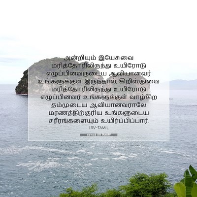 Picture 07 - ரோமர் 8:11 TAMIRV - அன்றியும் இயேசுவை - Bible Verse Picture