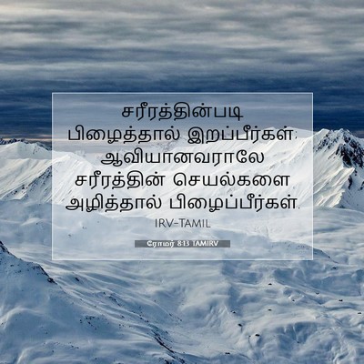 Picture 07 - ரோமர் 8:13 TAMIRV - சரீரத்தின்படி - Bible Verse Picture