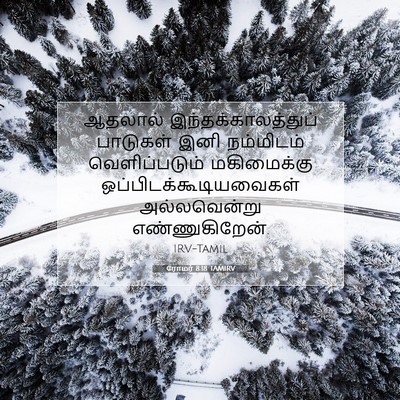 Picture 07 - ரோமர் 8:18 TAMIRV - ஆதலால் - Bible Verse Picture