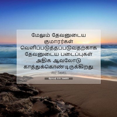 Picture 07 - ரோமர் 8:19 TAMIRV - மேலும் தேவனுடைய - Bible Verse Picture
