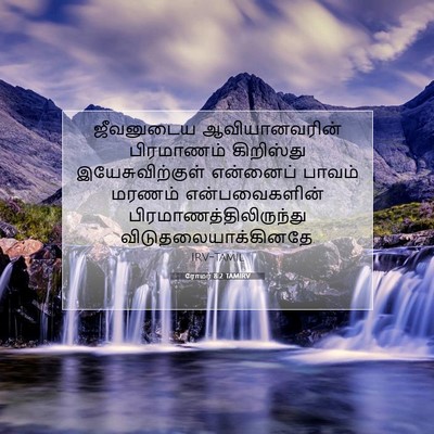 Picture 07 - ரோமர் 8:2 TAMIRV - ஜீவனுடைய - Bible Verse Picture