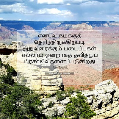 Picture 07 - ரோமர் 8:22 TAMIRV - எனவே, நமக்குத் - Bible Verse Picture
