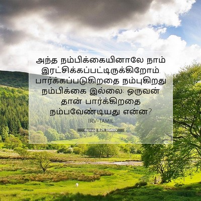 Picture 07 - ரோமர் 8:24 TAMIRV - அந்த - Bible Verse Picture
