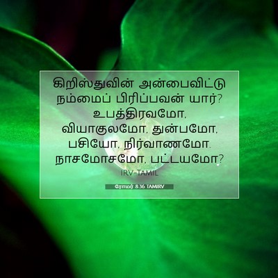 Picture 07 - ரோமர் 8:36 TAMIRV - கிறிஸ்துவின் - Bible Verse Picture