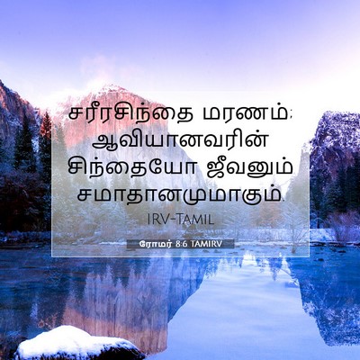 Picture 07 - ரோமர் 8:6 TAMIRV - சரீரசிந்தை மரணம்; - Bible Verse Picture