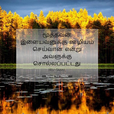 Picture 07 - ரோமர் 9:12 TAMIRV - மூத்தவன், - Bible Verse Picture