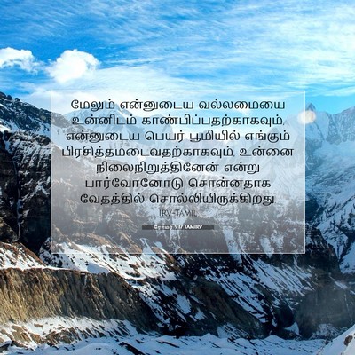 Picture 07 - ரோமர் 9:17 TAMIRV - மேலும் என்னுடைய - Bible Verse Picture