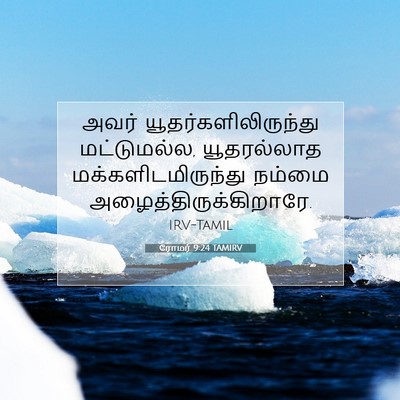 Picture 07 - ரோமர் 9:24 TAMIRV - அவர் - Bible Verse Picture