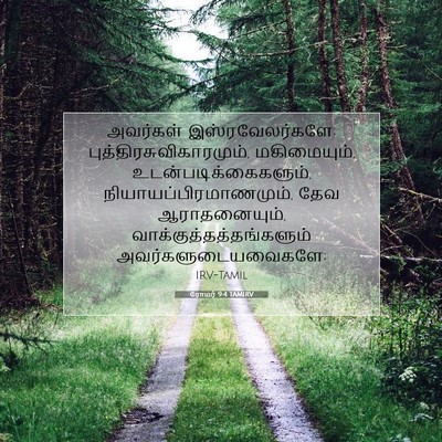 Picture 07 - ரோமர் 9:4 TAMIRV - அவர்கள் - Bible Verse Picture