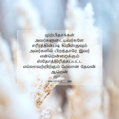 Picture 07 - ரோமர் 9:5 TAMIRV - முற்பிதாக்கள் - Bible Verse Picture