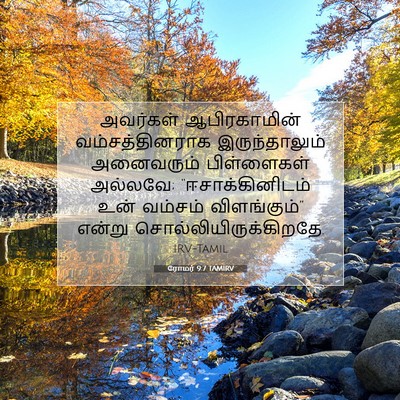 Picture 07 - ரோமர் 9:7 TAMIRV - அவர்கள் - Bible Verse Picture