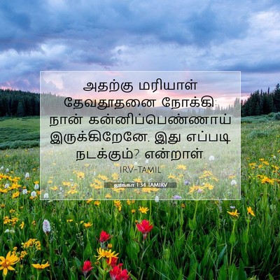 Picture 07 - லூக்கா 1:34 TAMIRV - அதற்கு மரியாள் - Bible Verse Picture