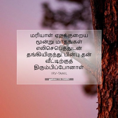 Picture 07 - லூக்கா 1:56 TAMIRV - மரியாள் ஏறக்குறைய - Bible Verse Picture