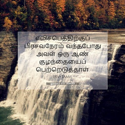 Picture 07 - லூக்கா 1:57 TAMIRV - எலிசபெத்திற்குப் - Bible Verse Picture