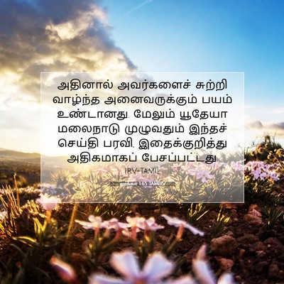 Picture 07 - லூக்கா 1:65 TAMIRV - அதினால் அவர்களைச் - Bible Verse Picture