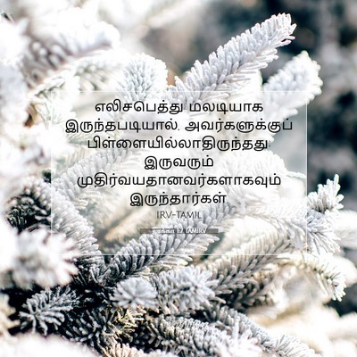 Picture 07 - லூக்கா 1:7 TAMIRV - எலிசபெத்து - Bible Verse Picture