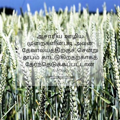 Picture 07 - லூக்கா 1:9 TAMIRV - ஆசாரிய ஊழிய - Bible Verse Picture