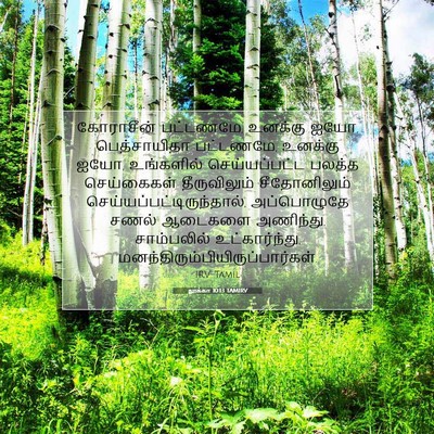 Picture 07 - லூக்கா 10:13 TAMIRV - கோராசீன் பட்டணமே, - Bible Verse Picture
