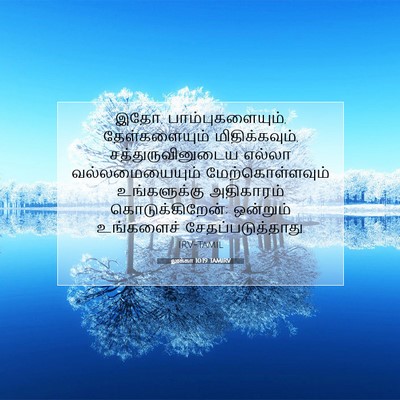 Picture 07 - லூக்கா 10:19 TAMIRV - இதோ, - Bible Verse Picture