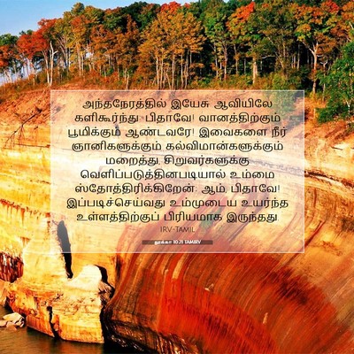 Picture 07 - லூக்கா 10:21 TAMIRV - அந்தநேரத்தில் - Bible Verse Picture
