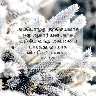 Picture 07 - லூக்கா 10:31 TAMIRV - அப்பொழுது - Bible Verse Picture