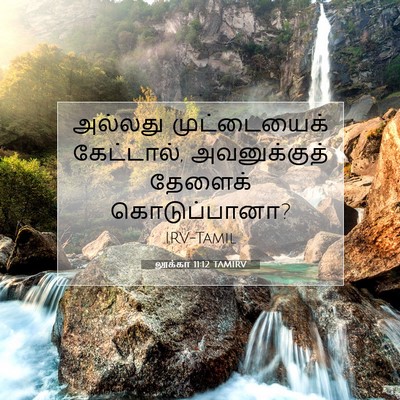 Picture 07 - லூக்கா 11:12 TAMIRV - அல்லது முட்டையைக் - Bible Verse Picture