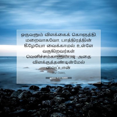 Picture 07 - லூக்கா 11:33 TAMIRV - ஒருவனும் - Bible Verse Picture