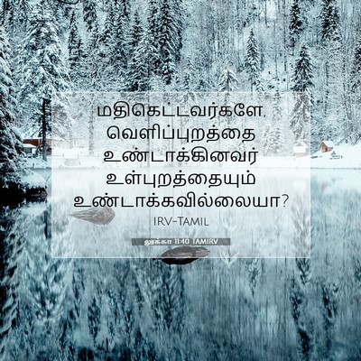 Picture 07 - லூக்கா 11:40 TAMIRV - மதிகெட்டவர்களே, - Bible Verse Picture