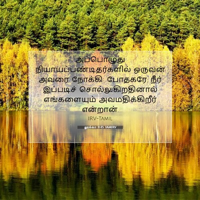 Picture 07 - லூக்கா 11:45 TAMIRV - அப்பொழுது - Bible Verse Picture