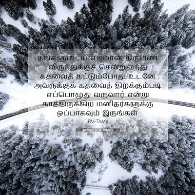Picture 07 - லூக்கா 12:36 TAMIRV - தங்களுடைய எஜமான் - Bible Verse Picture