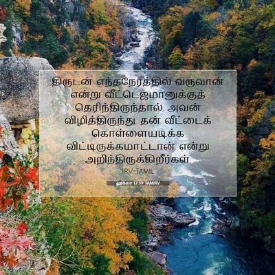 Picture 07 - லூக்கா 12:39 TAMIRV - திருடன் - Bible Verse Picture