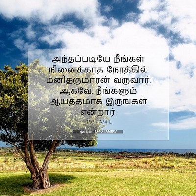 Picture 07 - லூக்கா 12:40 TAMIRV - அந்தப்படியே - Bible Verse Picture