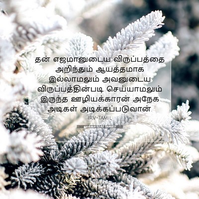 Picture 07 - லூக்கா 12:47 TAMIRV - தன் எஜமானுடைய - Bible Verse Picture
