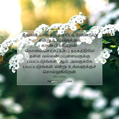 Picture 07 - லூக்கா 12:5 TAMIRV - நீங்கள் யாருக்கு - Bible Verse Picture