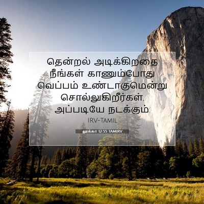 Picture 07 - லூக்கா 12:55 TAMIRV - தென்றல் - Bible Verse Picture