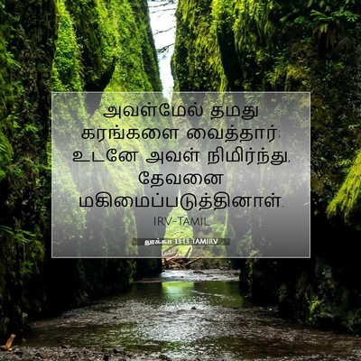 Picture 07 - லூக்கா 13:13 TAMIRV - அவள்மேல் தமது - Bible Verse Picture
