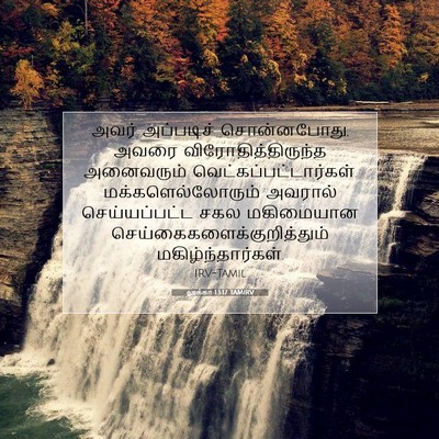 Picture 07 - லூக்கா 13:17 TAMIRV - அவர் அப்படிச் - Bible Verse Picture