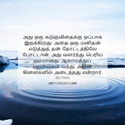 Picture 07 - லூக்கா 13:19 TAMIRV - அது ஒரு - Bible Verse Picture