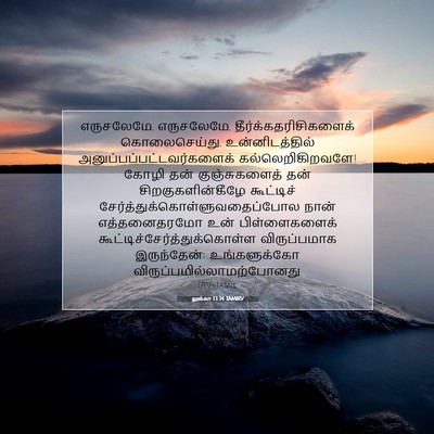 Picture 07 - லூக்கா 13:34 TAMIRV - எருசலேமே, - Bible Verse Picture