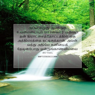 Picture 07 - லூக்கா 13:6 TAMIRV - அப்பொழுது அவர் - Bible Verse Picture