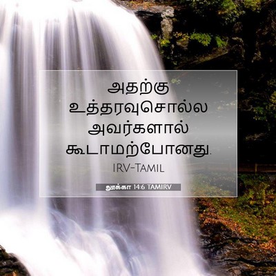 Picture 07 - லூக்கா 14:6 TAMIRV - அதற்கு - Bible Verse Picture