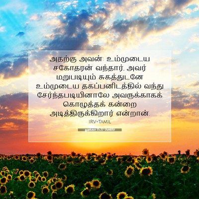 Picture 07 - லூக்கா 15:27 TAMIRV - அதற்கு அவன்: - Bible Verse Picture