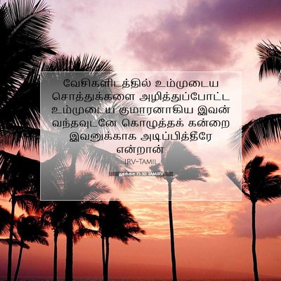 Picture 07 - லூக்கா 15:30 TAMIRV - வேசிகளிடத்தில் - Bible Verse Picture