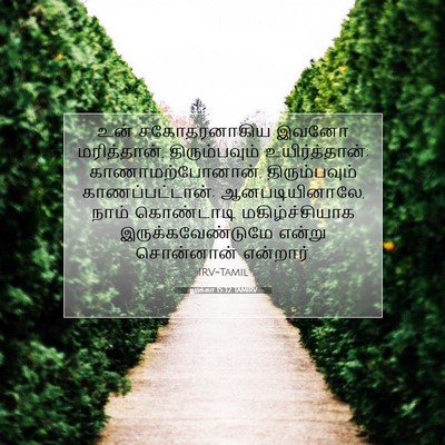 Picture 07 - லூக்கா 15:32 TAMIRV - உன் சகோதரனாகிய - Bible Verse Picture