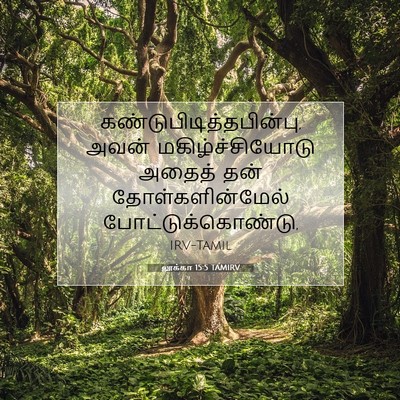 Picture 07 - லூக்கா 15:5 TAMIRV -  - Bible Verse Picture