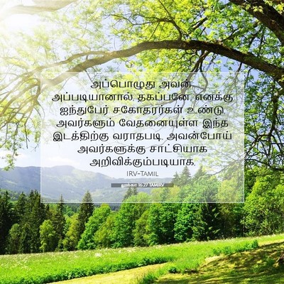 Picture 07 - லூக்கா 16:27 TAMIRV - அப்பொழுது அவன்: - Bible Verse Picture