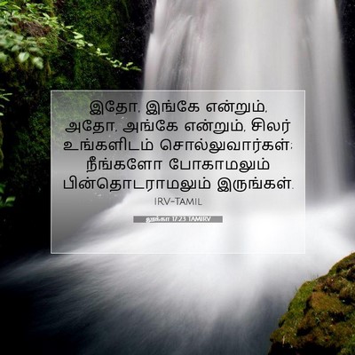 Picture 07 - லூக்கா 17:23 TAMIRV - இதோ, இங்கே என்றும், - Bible Verse Picture