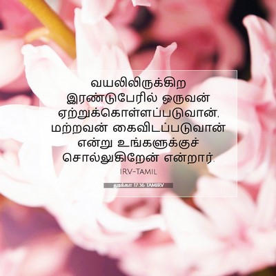 Picture 07 - லூக்கா 17:36 TAMIRV - வயலிலிருக்கிற - Bible Verse Picture