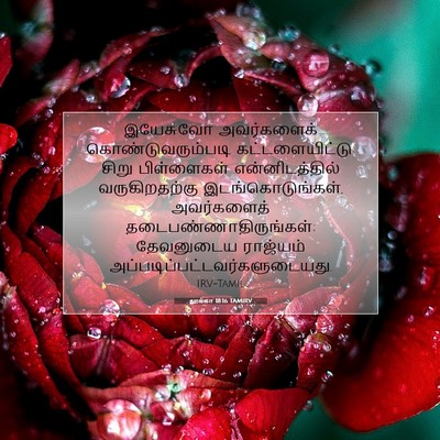 Picture 07 - லூக்கா 18:16 TAMIRV - இயேசுவோ அவர்களைக் - Bible Verse Picture