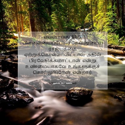 Picture 07 - லூக்கா 18:17 TAMIRV - எவனாவது சிறு - Bible Verse Picture